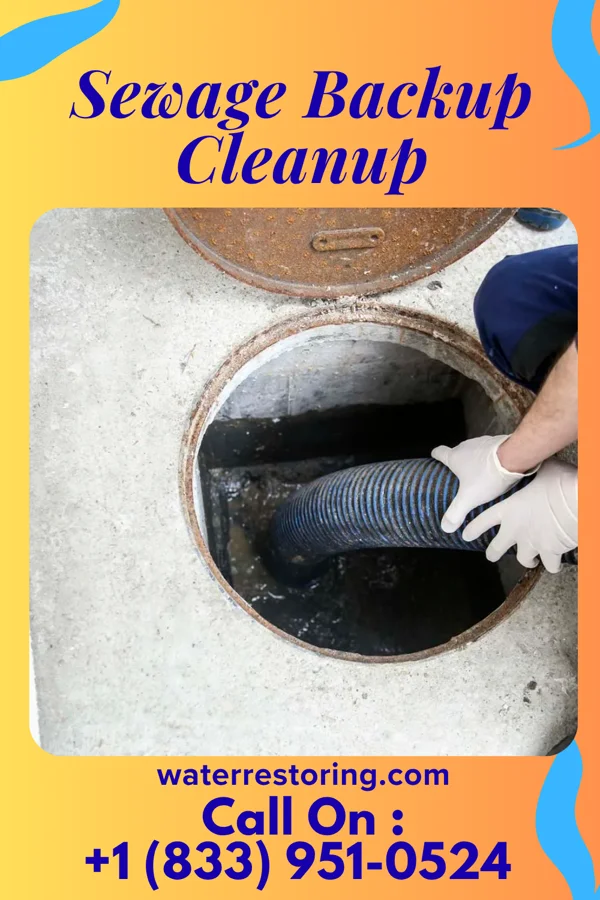Sewage Backup Cleanup in Lancaster, KS